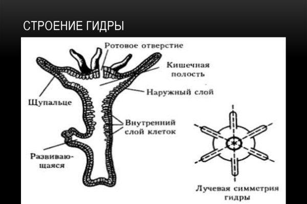 Кракен не грузит