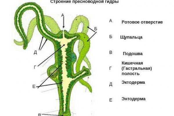 Магазин кракен даркнет сайт