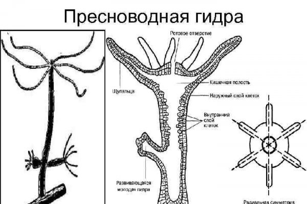 Кракен сайт kr2web in зарегистрироваться