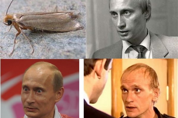 Не приходят деньги на кракен